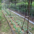 greenhouse used recycled plastic support mesh with UV made in China